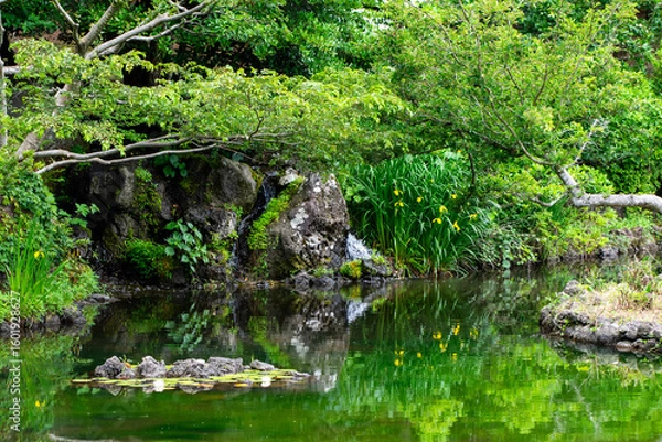 Obraz stream in the forest