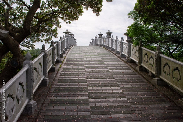 Obraz Bridge into the clouds