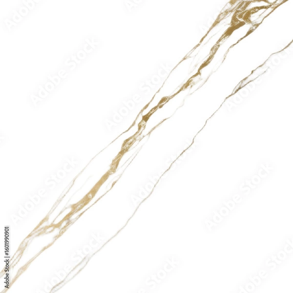 Fototapeta Modern Marble Texture with Gold Accents
