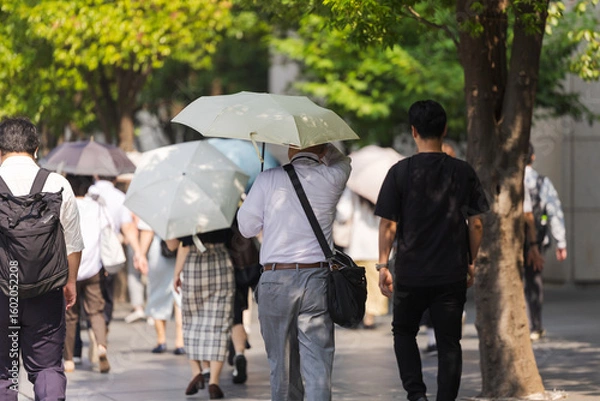 Fototapeta 日傘をさす中高年男性の後ろ姿