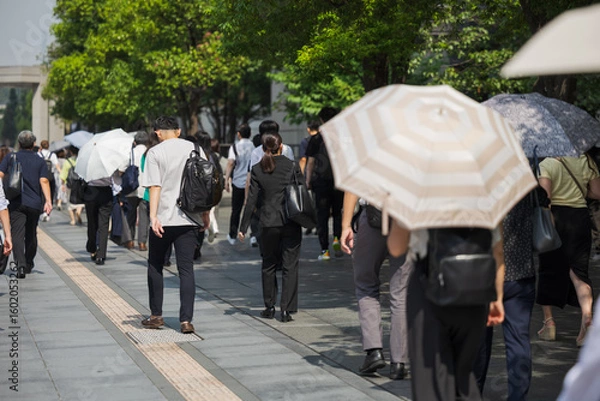 Fototapeta 真夏にスーツを着て出勤する女性の後ろ姿