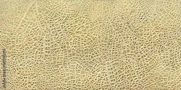 Fototapeta メロンの表面の模様を写真とAIで柄に