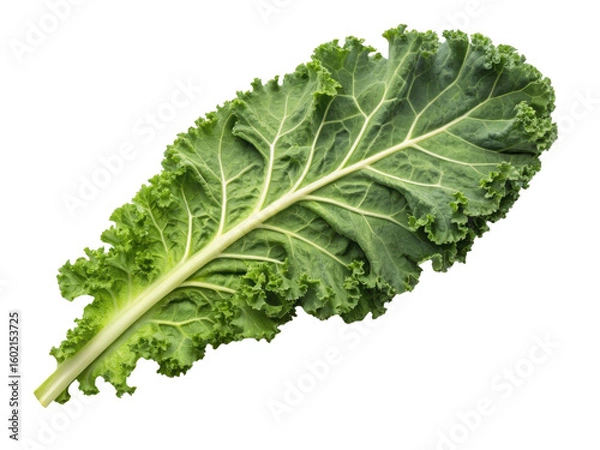 Fototapeta Fresh kale leaf showcases vibrant green color and textured surface, perfect for healthy dishes and salads