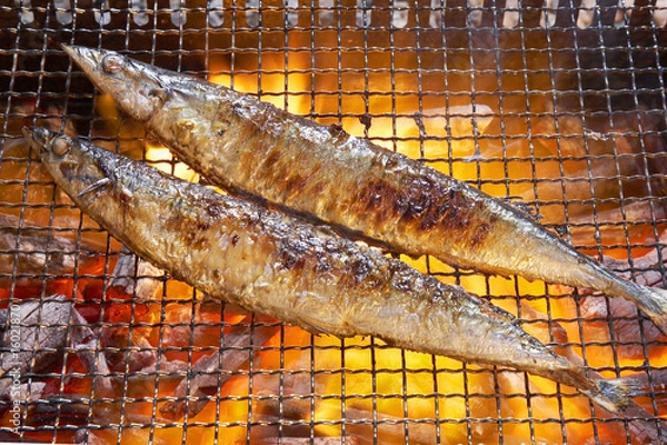 Obraz サンマを焼くシーン
