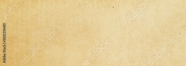 Obraz old paper texture
