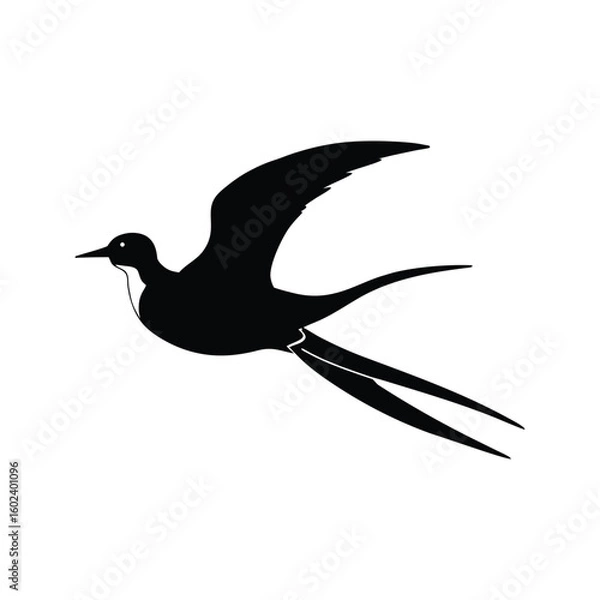 Fototapeta a tropicbird bird full black silhouette vector illustration on white background