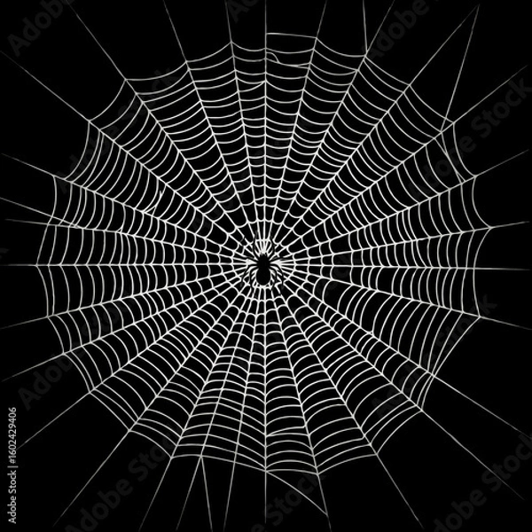 Obraz spider web with dew