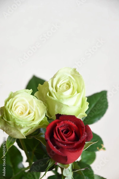 Obraz 緑と赤のばら