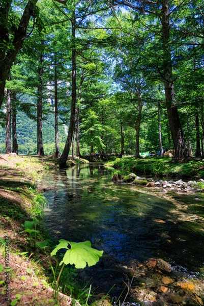 Obraz 夏の上高地・小梨平キャンプ場で過ごす自然に囲まれた絶景キャンプ