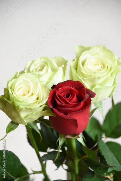 Fototapeta 赤と緑のばら