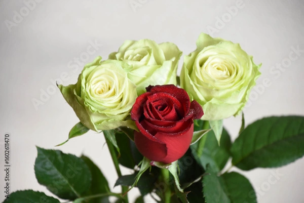 Fototapeta 赤と緑のばら