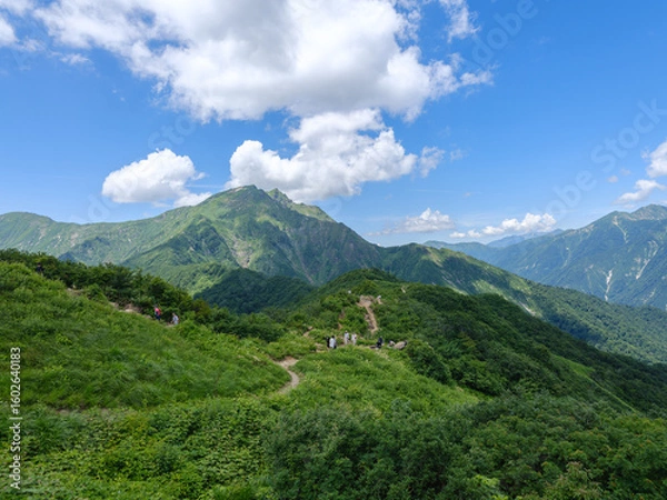 Fototapeta 谷川岳 天神平