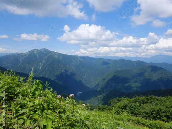 Fototapeta 夏の山 青空と雲