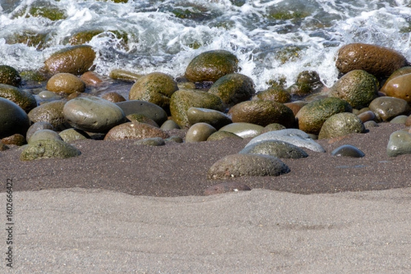 Obraz 海岸の波うちぎわの丸い石