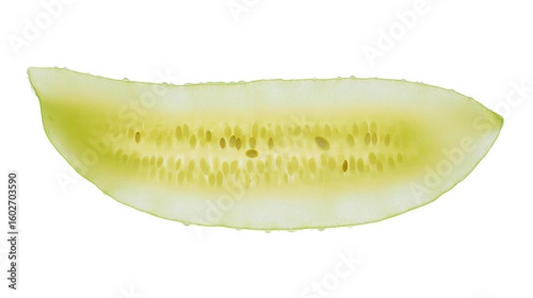 Obraz slice of cucumber