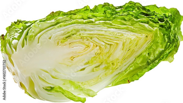 Obraz cabbage isolated on Transparent Background