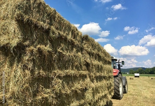 Fototapeta Heuwagen