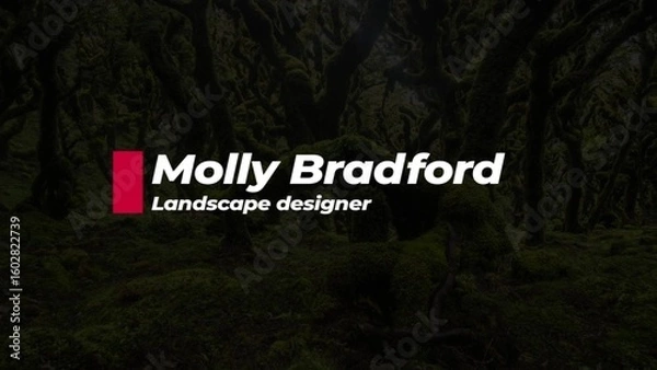 Fototapeta Creative Lower Third 05