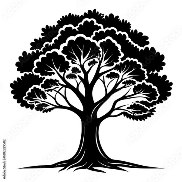 Obraz tree with roots