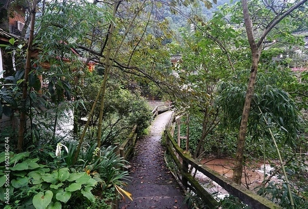 Obraz bridge over the river