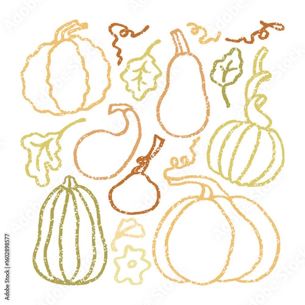 Fototapeta Collection of cute linear pumpkins. Autumn sticker set in simple style.