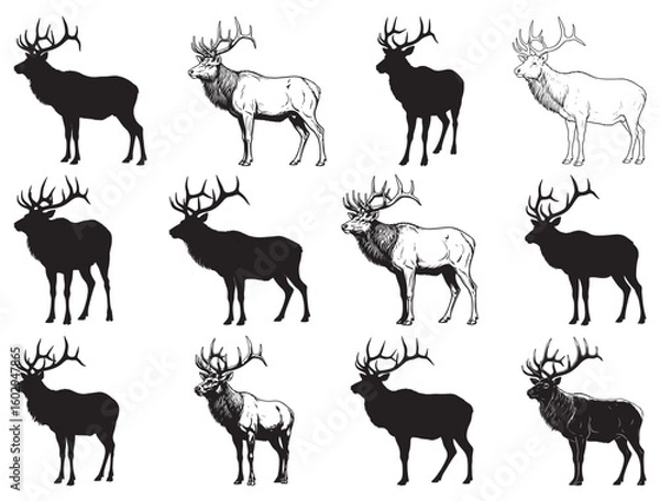 Obraz ELK SILHOUETTE