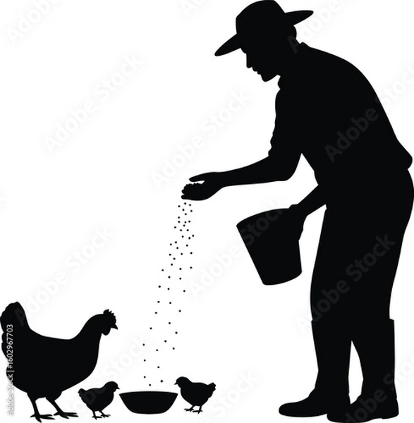 Fototapeta Silhouette of Farmer Feeding Chickens from Bucket with Grain Vector Illustration