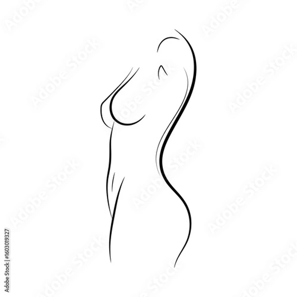 Fototapeta A minimalist line drawing depicts the elegant silhouette of a womans body