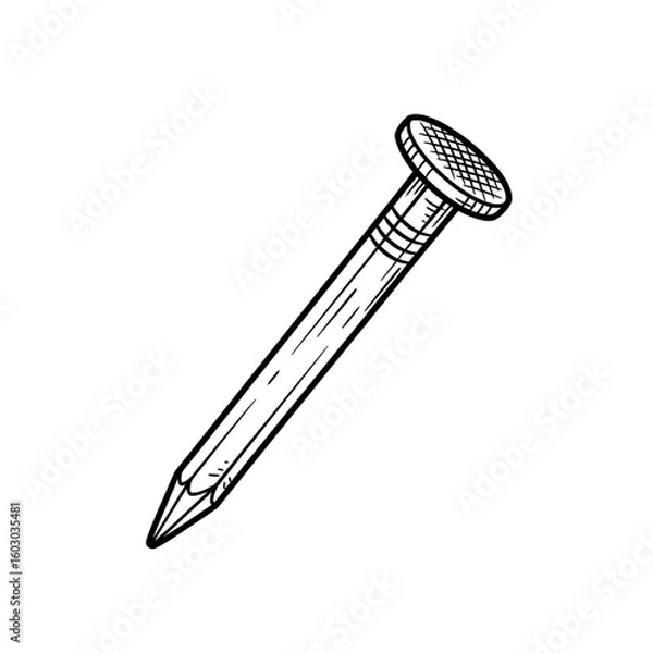 Fototapeta A single nail with a flat head and sharp point isolated on white background