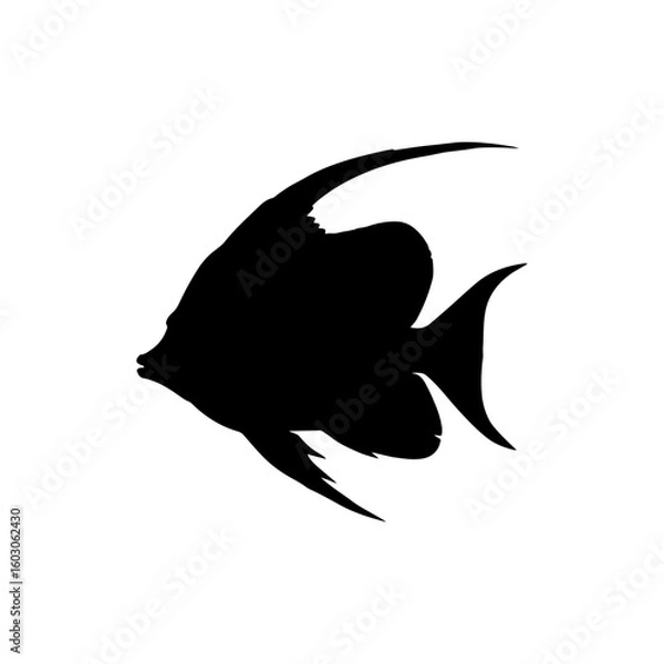 Fototapeta Bannerfish silhouette vector flat illustration design. 