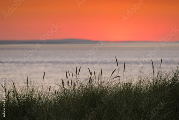 Fototapeta the tender beginning of a day, Dunes of Texel, Netherlands, sunrise, peace, warm colors North Sea, Holland