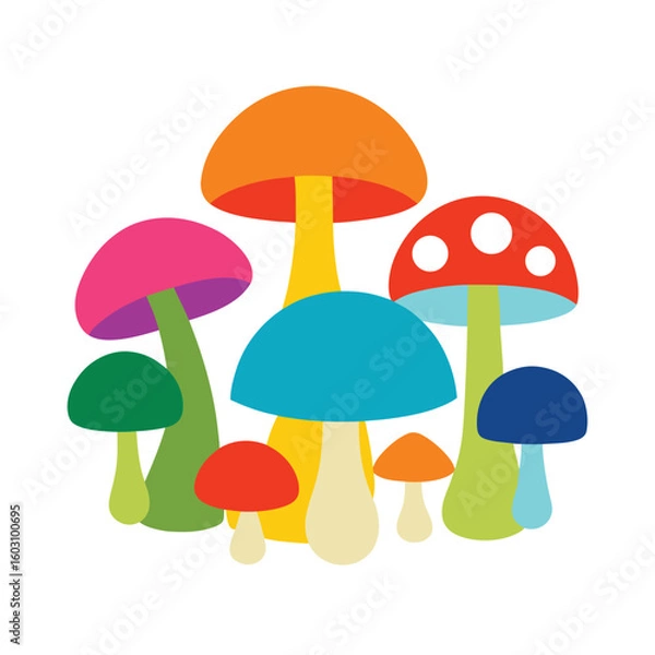 Fototapeta Mushroom Variety Vector Illustration Full Set of Edible and Wild Fungi