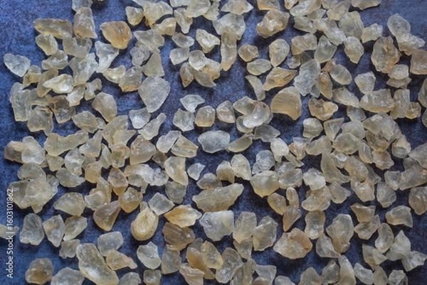 Obraz Raw whole dried Tragacanth gum