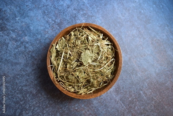 Obraz Raw whole dried Bacopa monnieri herb