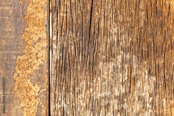 Obraz Old wooden texture