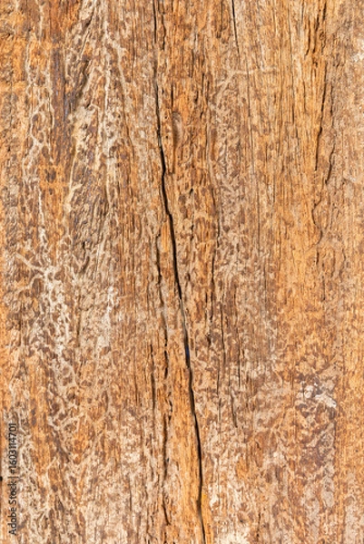 Obraz Old wooden texture