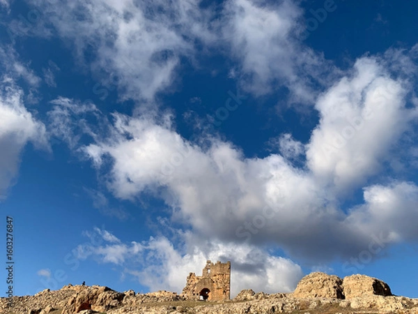 Obraz landscape and background