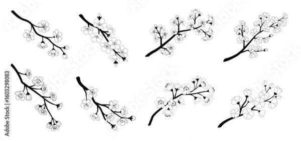 Fototapeta Vector sakura branch illustration isolated