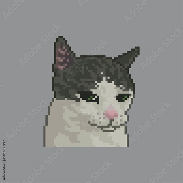 Obraz Suspicious cat, pixel art meme