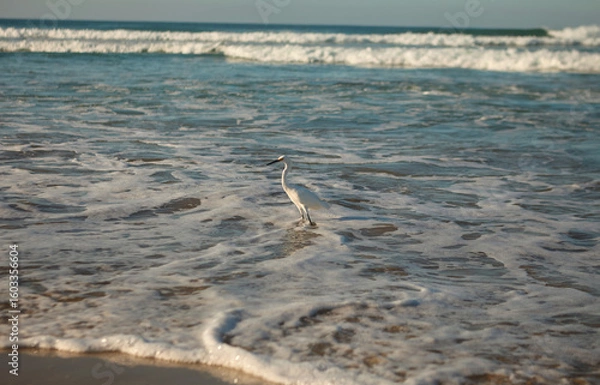 Obraz playa tlachicón / oaxaca mexico