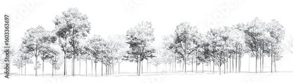 Obraz Outline trees in a vector forest design, featuring light linework and minimalist style against a plain white background.

