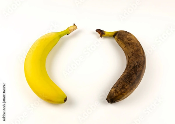 Fototapeta Ripe and overripe bananas isolated on a white background.