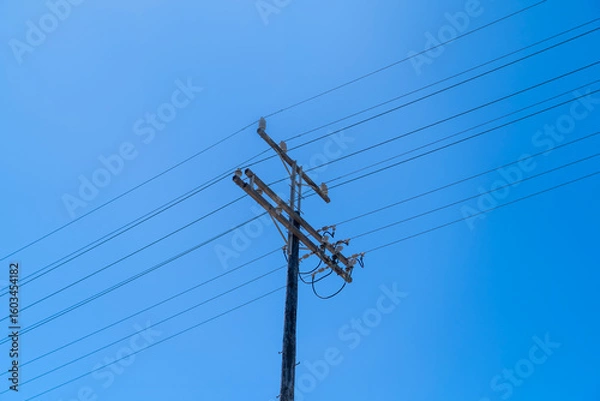 Obraz Power lines in the city