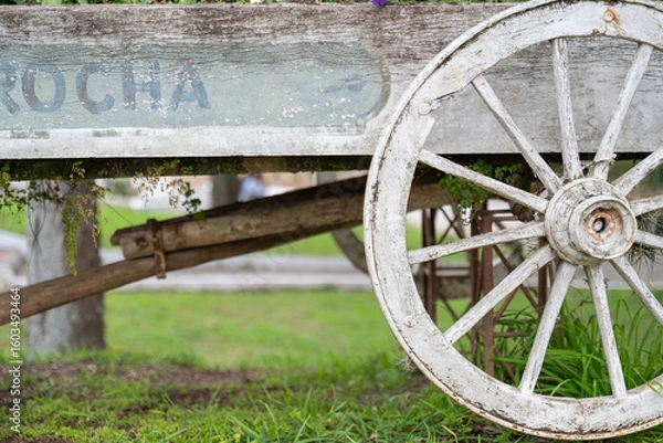 Obraz old wooden wheel