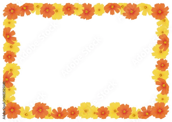 Fototapeta コスモスオレンジフレーム