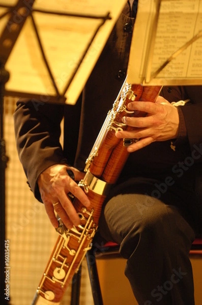 Fototapeta basson