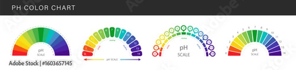 Fototapeta PH value Scale. Set of Color charts with pH level. Scale indicator for litmus paper test. Vector illustration isolated on white background.