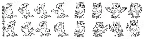 Fototapeta Cartoon parrots and owls point fingers. Cartoon birds, fun, cute, animals, education, teaching, happy, character, wildlife, illustration