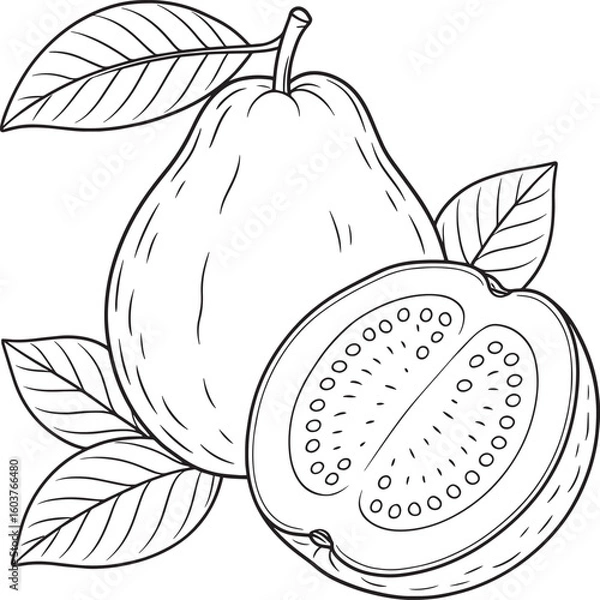 Obraz Whole and sliced guava fruit with leaves vector