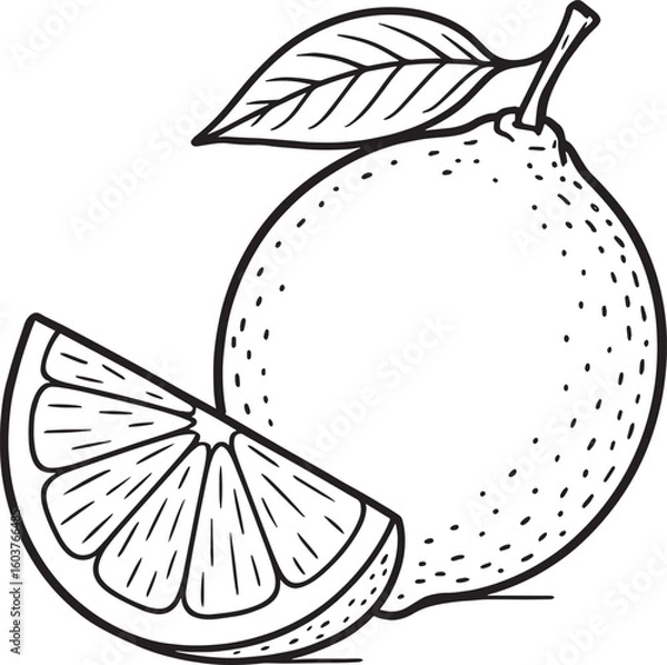 Obraz Whole citrus fruit with leaf and slice vector